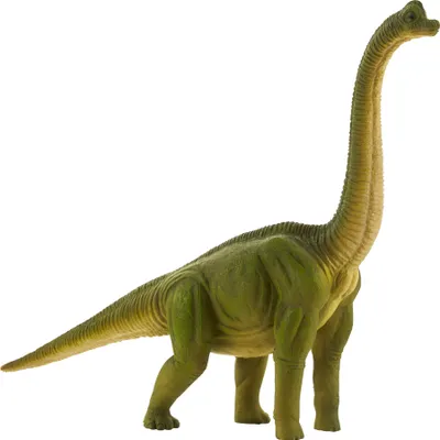 Obrázok produktu pre Brachiosaurus z planéty zvierat