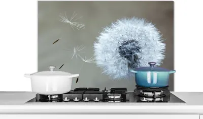 Produktbild von KitchenYeah®  Spritzschutz Küche - Küchenrückwand - Wandschutz für Herd und Spüle - Löwenzahn - Blume - Pflanze 80x55 - Alu-Dibond (Alternative zum Spritzschutz aus Glas) - Hitzebeständig - Herdspritz