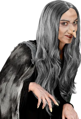 Immagine prodotto di Parrucca strega Crudelia grigia capelli lunghi