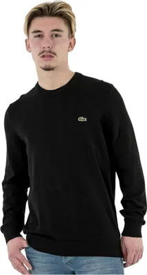 Immagine prodotto di Maglione Lacoste 124-15295814369624 da Uomo