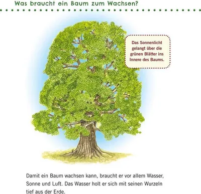 Produktbild von Unkaputtbar: Erstes Wissen: Im Wald