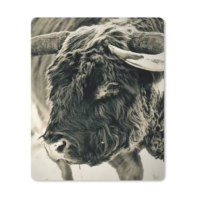 Produktbild von MuchoWow® Mauspad Mousepad Schottischer Highlander - Schnee - Hörner 30x40 cm - Mousepads - Maus Mat - Pad - Mausunterlage - Mausmatten