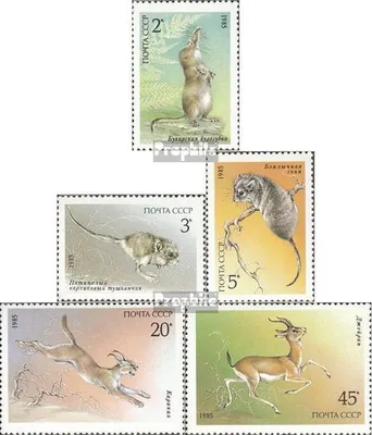 Produktbild von Briefmarken Sowjetunion 1985 Mi 5537-5541 (kompl.Ausg.) postfrisch Geschützte Tiere