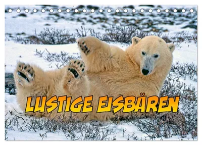 Produktbild von Lustige Eisbären (Tischkalender 2027 DIN A5 quer), CALVENDO Monatskalender