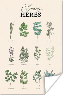 Produktbild von MuchoWow® Poster Pflanzen - Küche - Kräuter 80x120 cm - Papierdruck