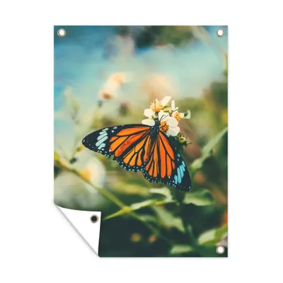 Obrázek produktu pro MuchoWow® Zahradní plakáty - Motýl - Květiny - Zahrada - 120x90 cm - Zahradní dekorace
