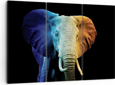 Produktbild von Bild auf Leinwand - Leinwandbild - 3 Teile - Bunt Elefant Fotografie - 105x70cm - Wand Bild - Wanddeko - Wandbilder - Leinwanddruck - Bilder - Wanddekoration - Leinwand bilder - CE105x70-4768
