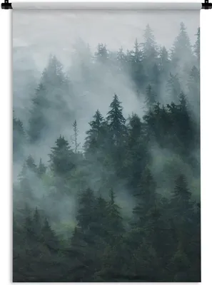 Produktbild von MuchoWow® Wandteppich Wandbehang Nebel - Bäume - Wald 120x180 cm Tapisserie Dekoration Wandtuch - Schlafzimmer - Dekorationen für das Haus