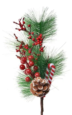 Produktbild von Clayre & Eef Dekoration Ast 39 cm Rot Grün Kunststoff Zuckerstange Weihnachten