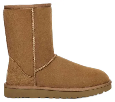 Productafbeelding van Laarzen Ugg 10091-149601 voor Dames