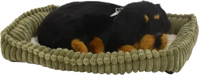 Zdjęcie produktu dla Perfect Petzzz Oddychający Szczeniaczek Rottweiler z Akcesoriami 3+