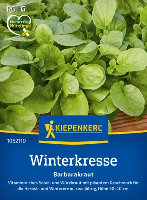 Artikelbild 2 von 'Winterkresse Barbarakraut' aus der Kategorie Kressesamen