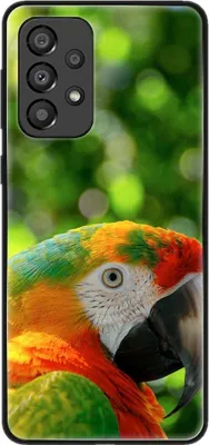 Produktbild von König Design Hülle kompatibel mit Samsung Galaxy A33 5G Kunststoff Soft Handyhülle - Handy Case Papagei