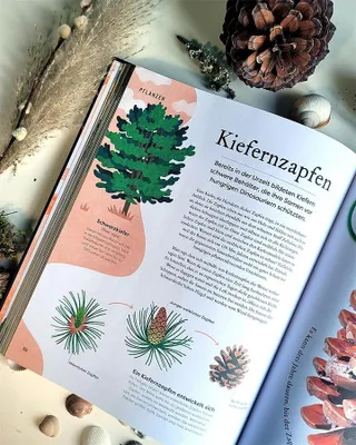 Obrázok produktu pre Große und kleine Schätze der Natur. Große und kleine Schätze der Natur