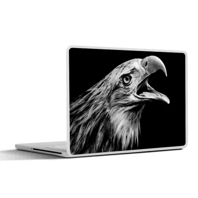 Produktbild von MuchoWow® Laptop Aufkleber Sticker Cover Adler - Porträt - Raubvögel - Schwarz - Weiß - Vogel 30x22 cm - Laptop-Sticker
