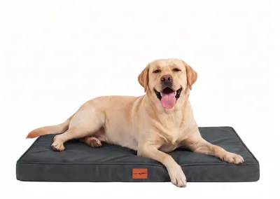Productafbeelding van Hondenmand orthopedisch - Hondenkussen grote honden - 104 x 69 x 7,6 cm - Grijs - Waterdicht