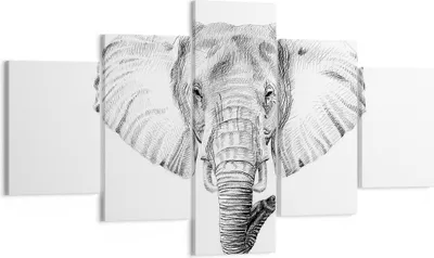 Produktbild von Bild auf Leinwand - Leinwandbild - Elefant Afrika Illustration Kinder - 125x70cm - Wand Bild - Wanddeko - Leinwanddruck - Bilder - Kunstdruck - Leinwand bilder - Wandkunst - EA125x70-3213