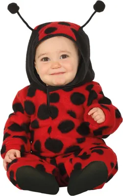 A baby wearing a ladybug costume.