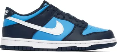 Produktbild von Nike Schuhe Dunk Low Gs, HF0031400