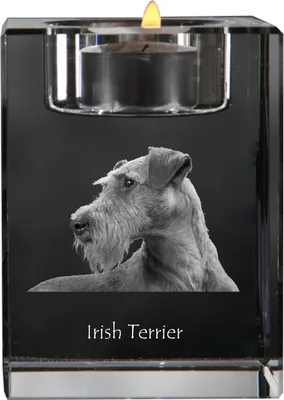 Produktbild von Irischer Terrier, Irish Terrier - Kerzenhalter mit Hundefoto, Teelichthalter aus Kristall, personalisiertes Geschenk der Marke Art-Dog