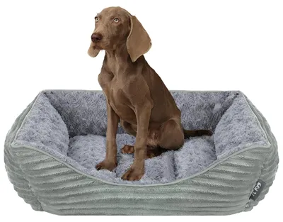 Hundebett L, Grau, 76x61x20 cm, für mittelgroße Hunde