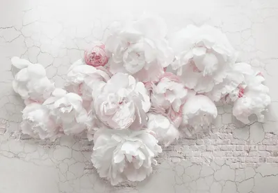 Produktbild von Vlies Fototapete Rosen Wand Rosen in der Wand rosa Wand (312cm x 219cm -3 Bahnenn) Wohnzimmer Schlafzimmer Wandtapete Tapete Latexdruck UV-Beständig Geruchsfrei Hohe Auflösung Montagefertig