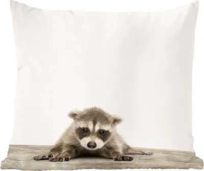 Produktbild von MuchoWow® Zierkissen Sofakissen Wohnzimmer Dekokissen 50x50 cm Waschbär - Tiere - Jungen - Mädchen - Komfort - Sofakissen