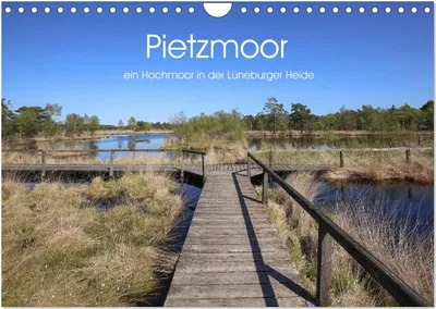 Produktbild von Pietzmoor - ein Hochmoor in der Lüneburger Heide (Wandkalender 2025 DIN A4 quer), CALVENDO Monatskalender