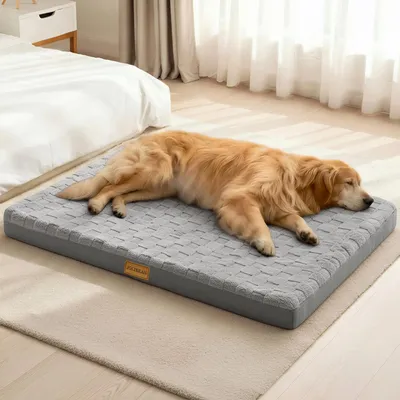 Produktbild von Orthopädisches Hundebett, 91 x 61 cm