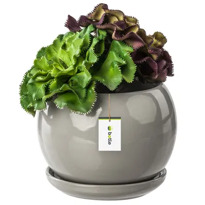 Produktbild von Blumentopf Blumenübertopf grau Kugel Blumenschale mit Untersetzer Rund BxH 110 mm x 100 mm Oberfläche Glanz Keramik Modern Glamour