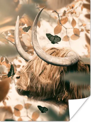 Produktbild von MuchoWow® Poster Schottische Highlander - Schmetterlinge - Hoorn 90x120 cm - Wohnzimmer