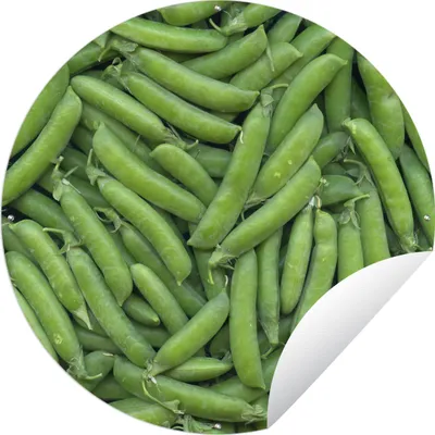 Produktbild von MuchoWow®