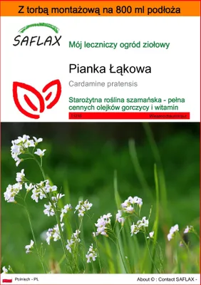 Zdjęcie produktu dla SAFLAX - Garden in the bag - Pianka Łąkowa - 100 Nasiona - Z podłożem uprawowym w praktycznej, samorozkładającej się torbie - Cardamine pratensis