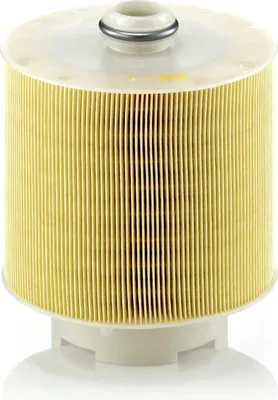 Zdjęcie produktu dla Filtr powietrza MANN-FILTER C 17 137/1 x
