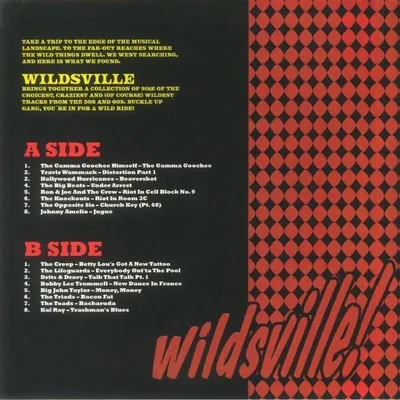 Produktbild von Various Artists - Wildsville (LP)