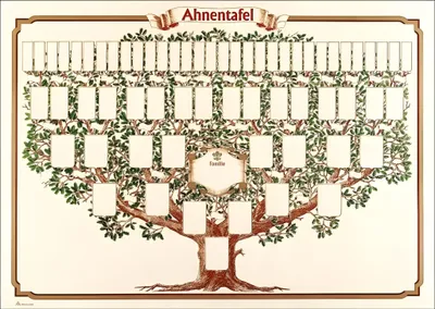 Produktbild von RNK Verlag Schmuck Ahnentafel "Skizzierter Baum" 70 x 50 cm