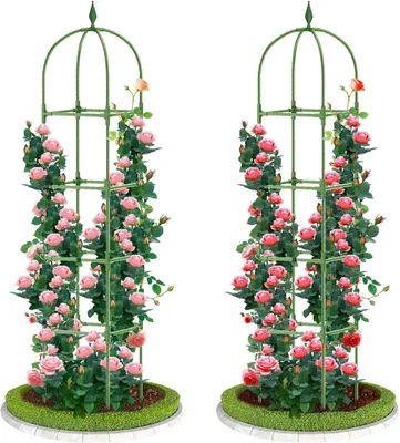 Imagen del producto de Obelisco de jardín, enrejado, color verde, 1,8 metros, para plantas trepadoras