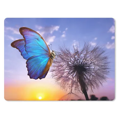 Produktbild von MuchoWow® Mauspad Mousepad Schmetterling - Sonnenuntergang - Löwenzahn - Blau 23x19 cm - Mousepads - Maus Mat - Pad - Mausunterlage - Schreibtischunterlage - Mauspad