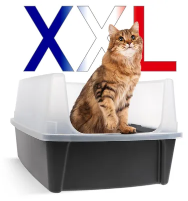Imagen del producto de Caja de arena para gatos XXL de Iris Ohyama, con borde alto, color gris. Caja de arena grande, con bordes removibles, protección contra derrames, fácil de limpiar, ideal para gatos grandes, para dos gatos, incluyendo razas como el Maine Coon. Libre de BPA – CLH-XL
