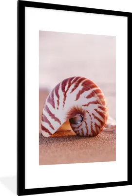 Produktbild von MuchoWow® Gerahmtes Poster Muschel - Strand - Meer - Sand 60x90 cm - Poster mit Schwarzem Bilderrahmen Wandposter Rahmen Foto Bilder - Dekoration - Wandposter Wohnzimmer - Hochwertig