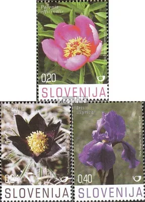 Produktbild von Briefmarken Slowenien 2008 Mi 673-675 (kompl.Ausg.) FDC Karstpflanzen
