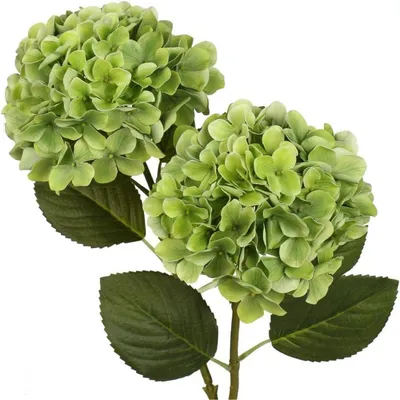 Produktbild von Künstliche Hortensien Kunstblumen Seidenblumen Grün 2 Stück 63 cm