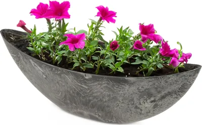 Produktbild von Große Pflanzschale oval 55 cm für draussen Dekoschale schwarz