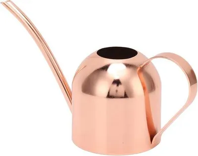 Produktbild von Gießkanne - Stilvolles Design aus Edelstahl - Roségold