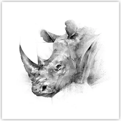 Produktbild von Poster - Poster ohne Rahmen - Nashorn Porträt Grafik - 50x50 cm - Wand Bild - Wanddeko - Wandbilder - Kunstposter - Wandposter - Bilder - Kunstdruck - Wanddekoration - Wandbild - P2XAC50x50-4378