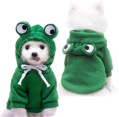 Image de Manteau pour chien en tissu mélangé de laine