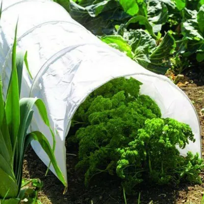 Image de Protection non tissée des plantes de jardin et de tunnel de culture pour les légumes en serre