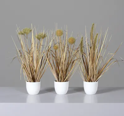 Produktbild von 3er Set künstliche Gräser im Topf H. 36cm D. 7cm sand grün DPI Kunstblumen