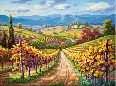 Produktbild von Castorland Vineyard Hill , Puzzle 3000 Teile