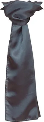 Produktbild von Damen Schal Satin Scarf - Farbe: Grey - Größe: 120 x 25cm